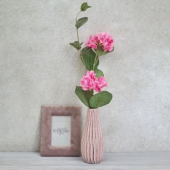 Цветок Hydrangea, розовый