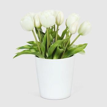 Букет тюльпанов в белом кашпо Конэко-О 10149_x2 28 см