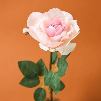 Цветок Sardegna, розовый