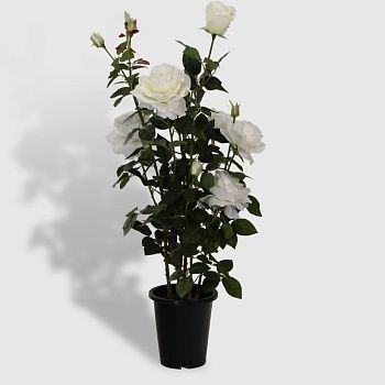 Роза Tianjin в кашпо белая искусственная 102 см